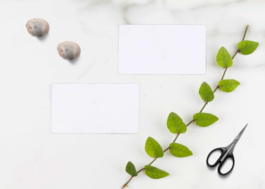Free Business Card Mockups