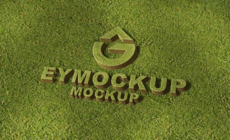 Free PSD 3D Logo Mockup