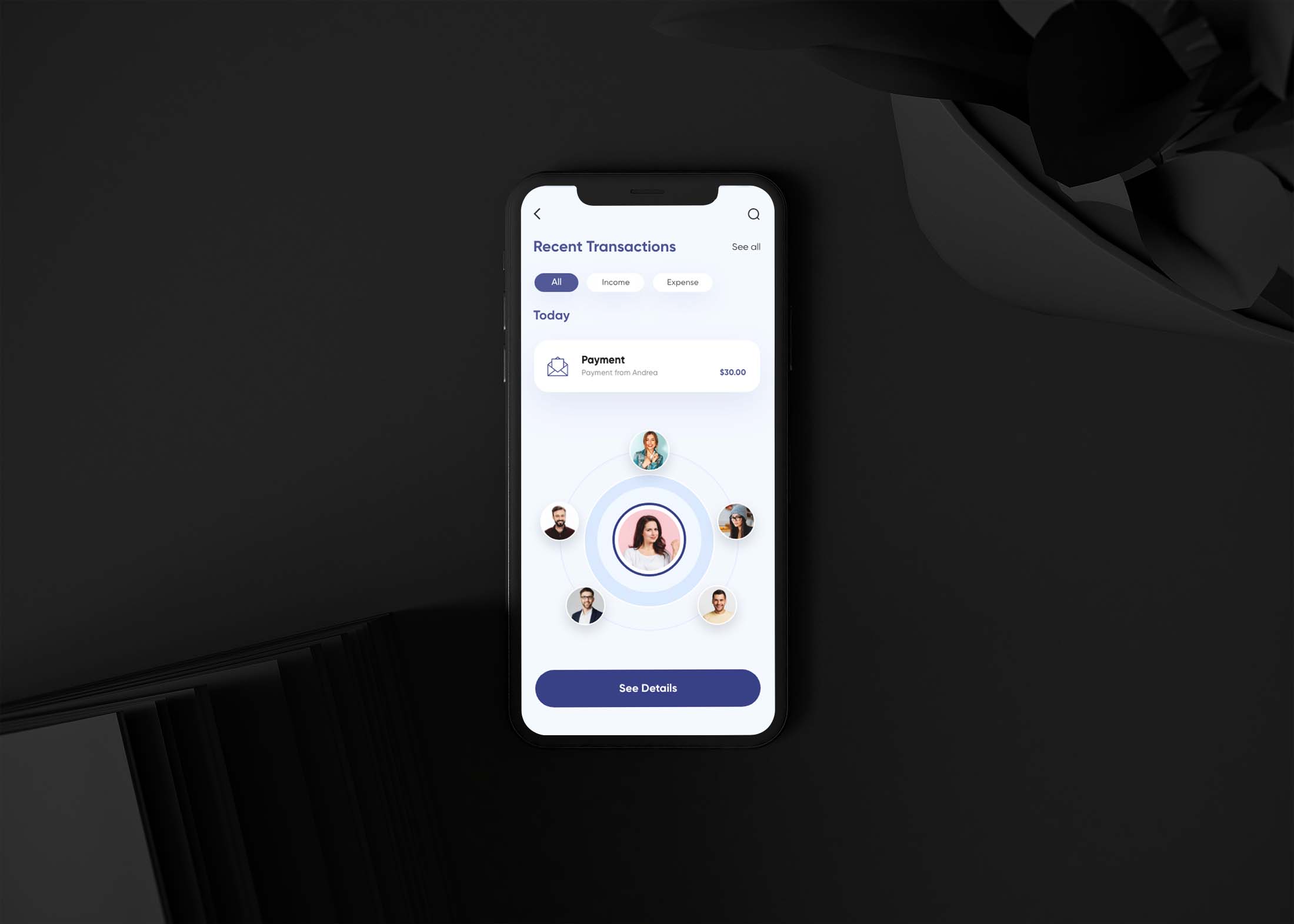 iOS Mobile App View Mockup