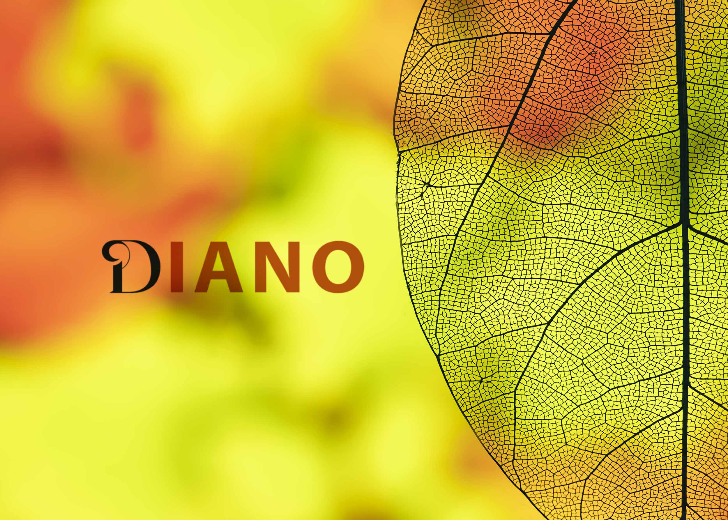 Free Diano Logo Mockup