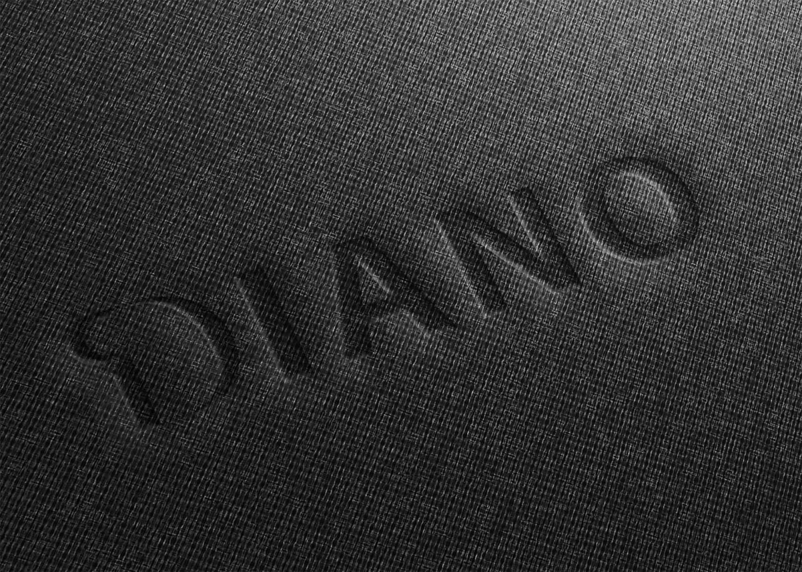 Free Fabric Logo Mockup Download