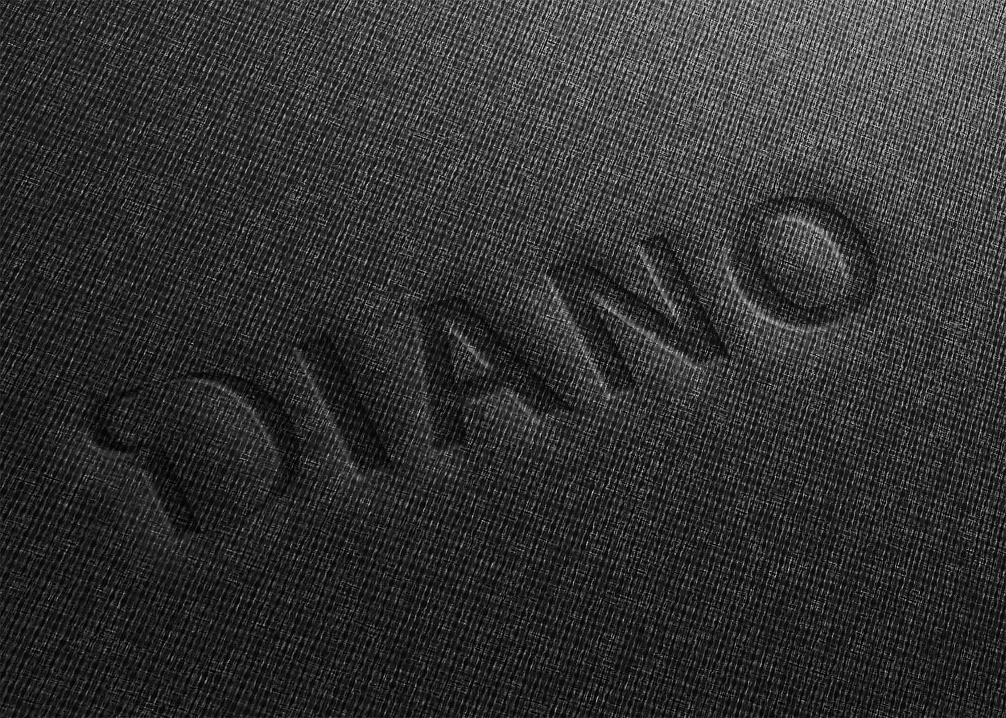 Free Fabric Logo Mockup Download