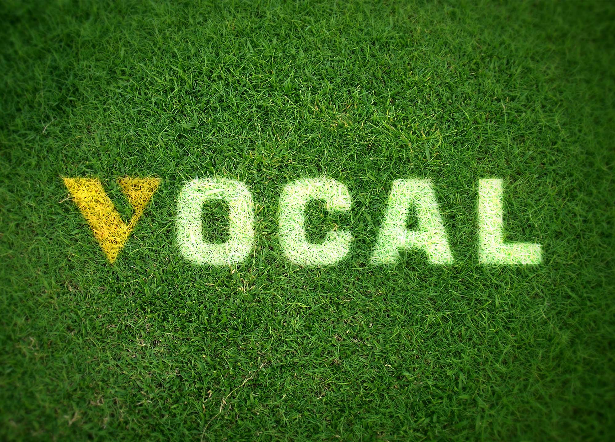 Free Grass Texture Logo Mockup