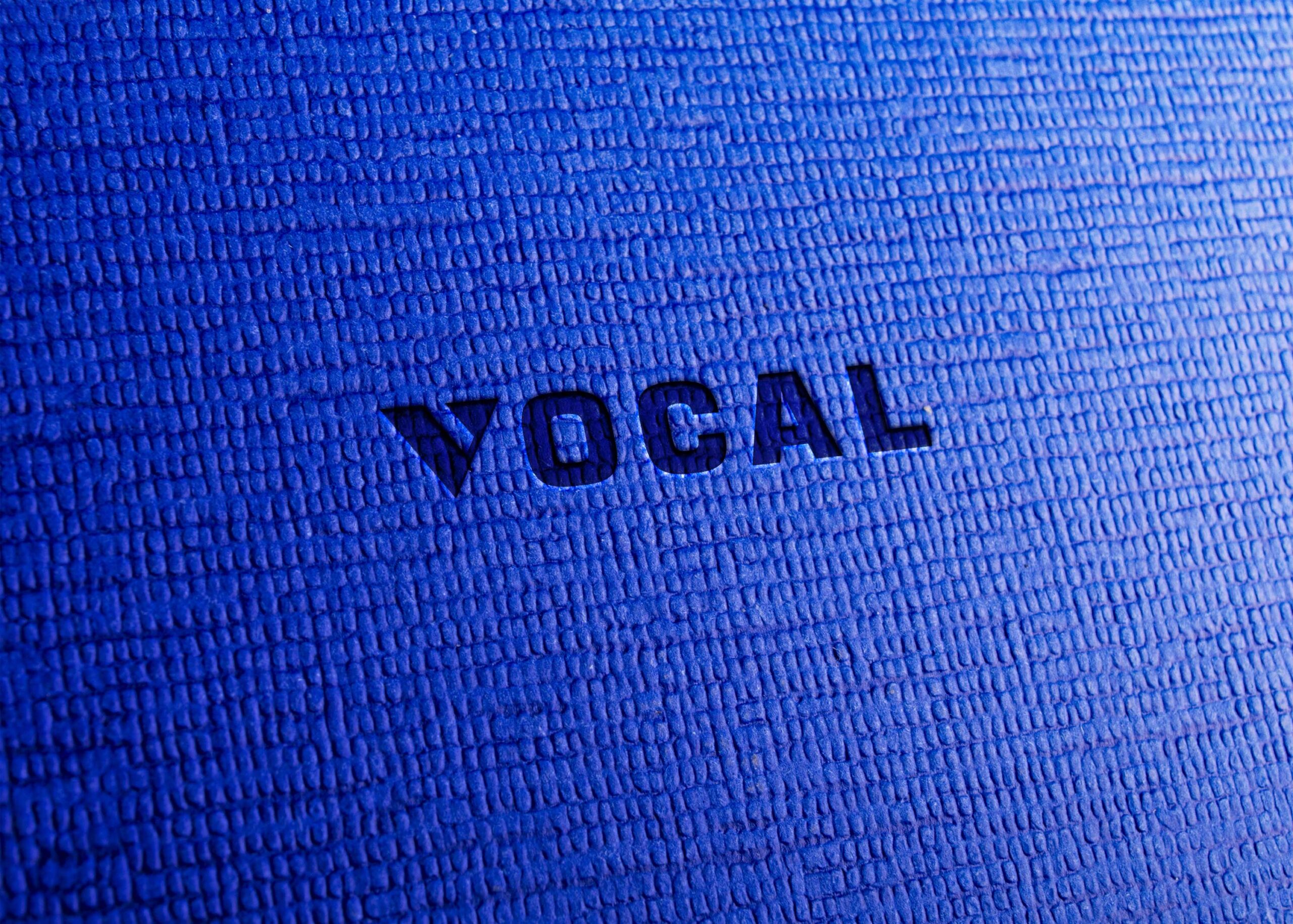 Free Overlay Blue Logo Mockup