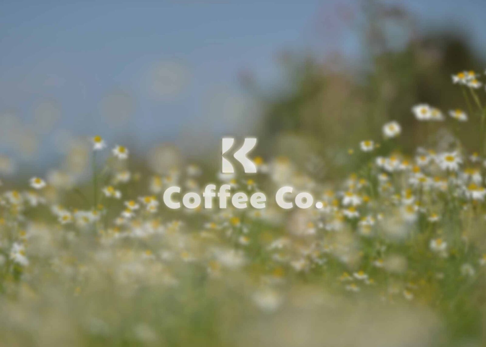 Free Overlay Glass Logo Mockup