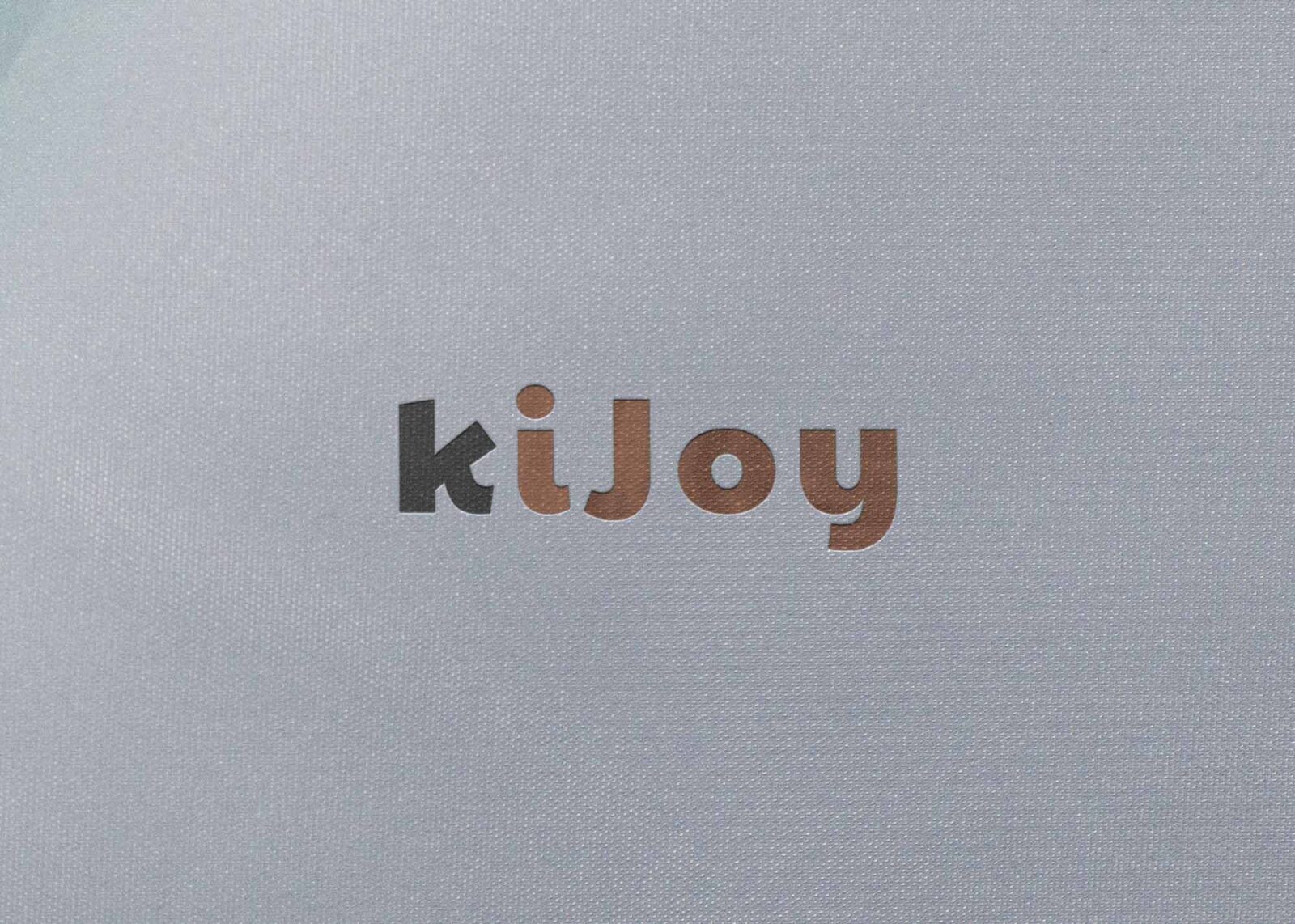 Free PSD Plain Logo Mockup