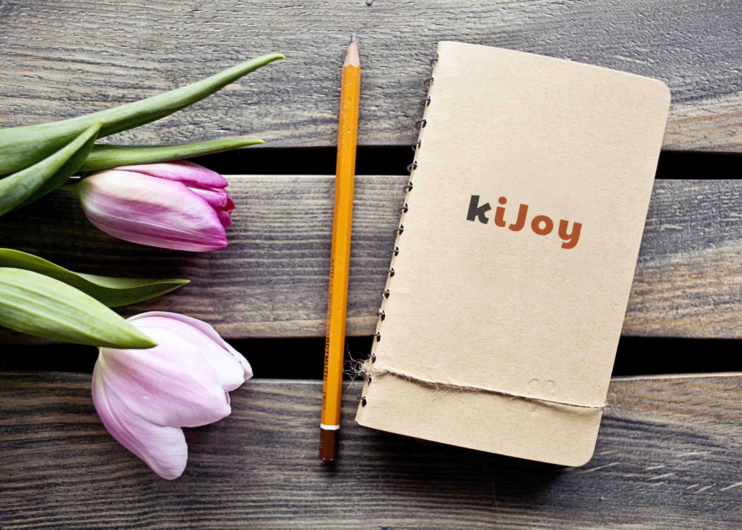 Free Sprial Dairy Cover Logo Mockup