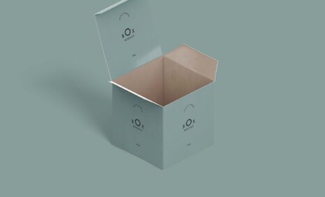 Free Minimal New Packaging Box Mockup