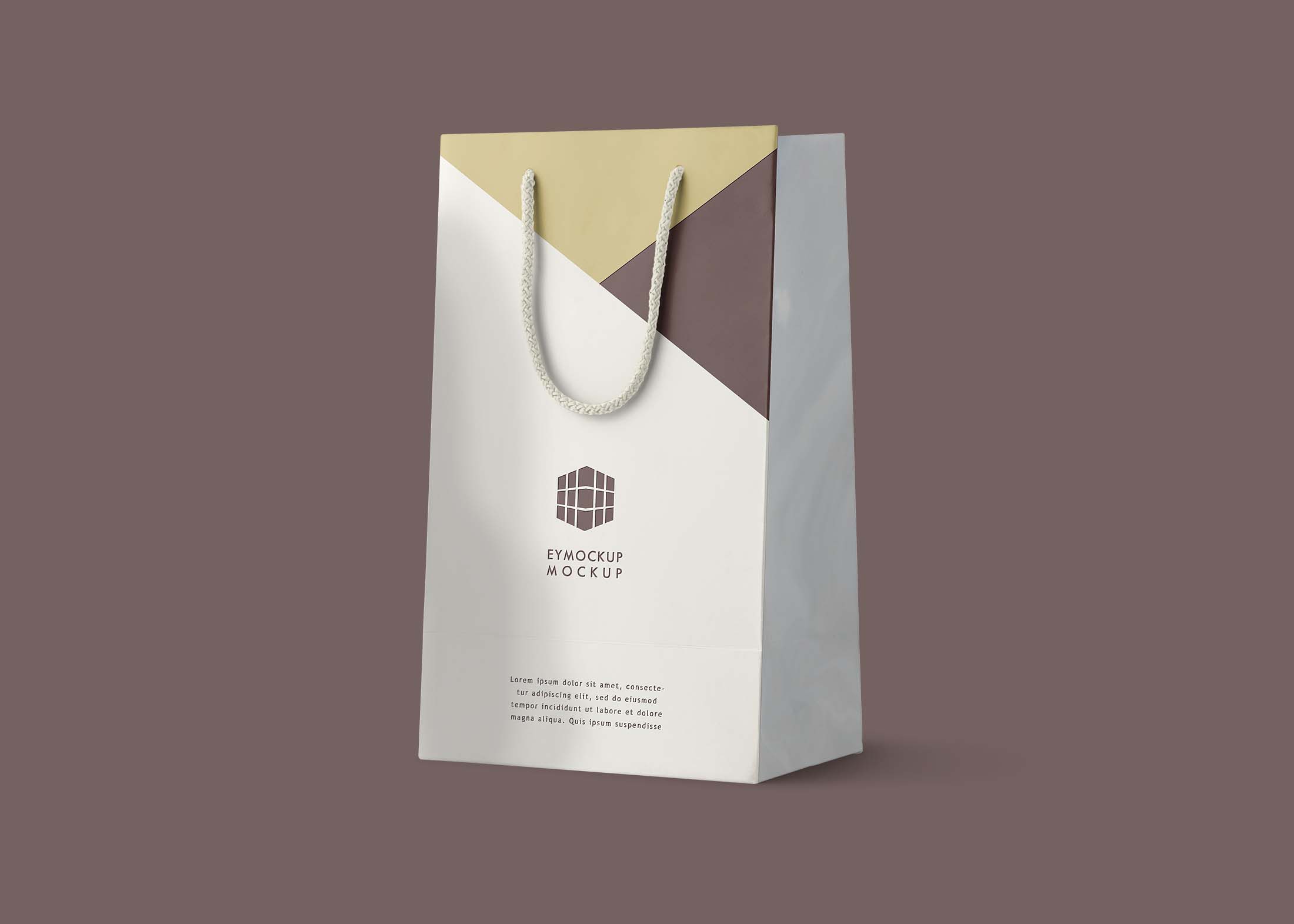 Free Luxury Shopping Bag Mockup