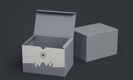 Free USPS Mailing Box Mockup